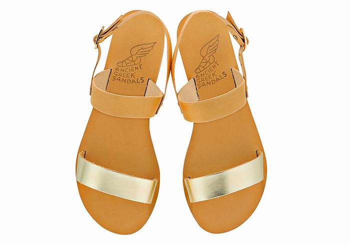 Sandales Bride Arrière Ancient Greek Sandals Clio   | ZPM-2109931